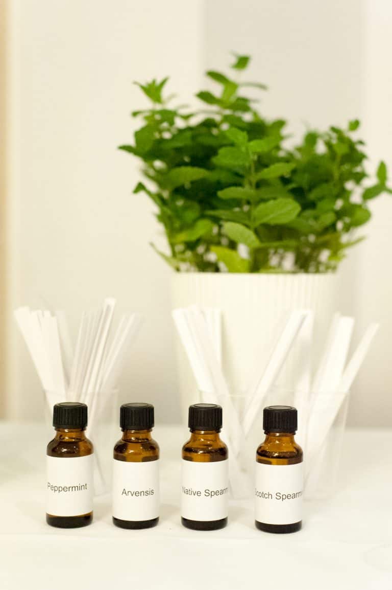 Begriffserklärung Aromastoffe